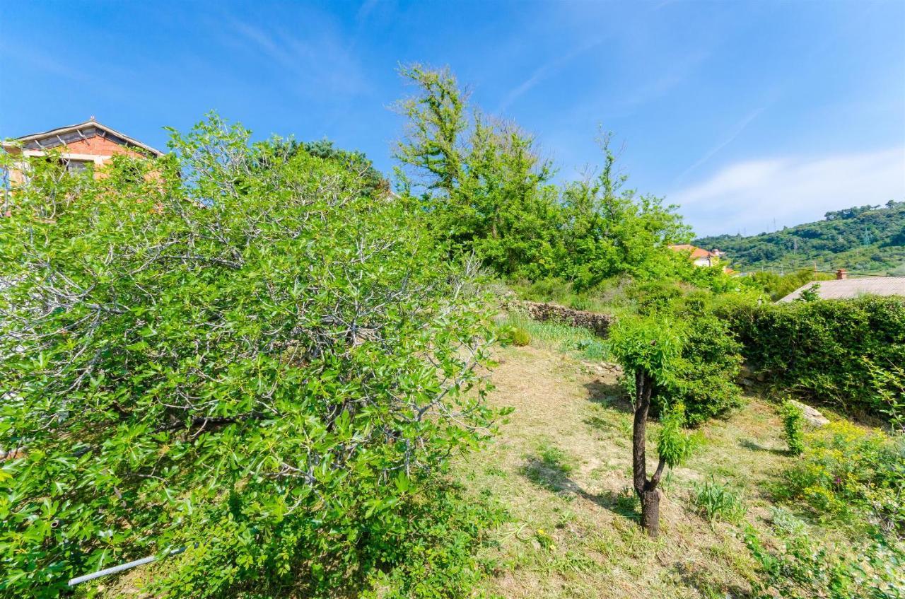 Apartments Marotin Palit Dış mekan fotoğraf